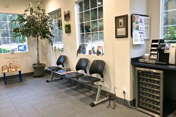 We're happy to provide reading material and a refreshment station for your enjoyment.