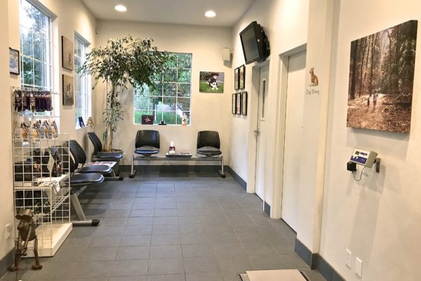 Our front lobby features ample seating, and we gladly separate waiting cats and dogs to reduce stress.