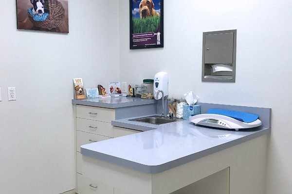 To protect our patients, our exam rooms are sanitized between each and every pet.