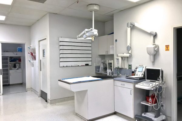 Our treatment area is a large, open space where our patients undergo diagnostics and procedures.