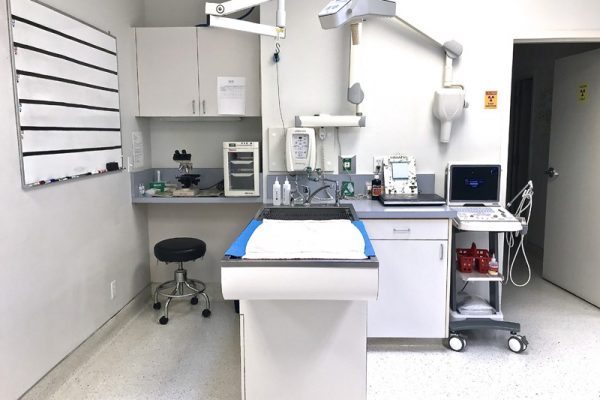 We use our wet table for dental procedures, and our surgery board and ultrasound can also be seen.