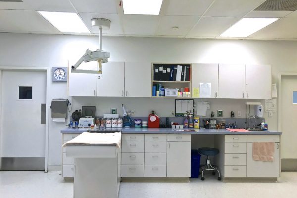 Our treatment area is equipped with everything we need to treat your pet quickly and painlessly.