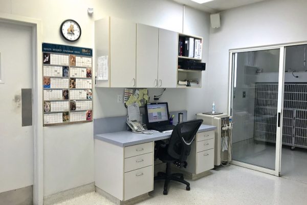 Our doctor's desk is strategically located next to our surgery recovery kennels for easy monitoring.