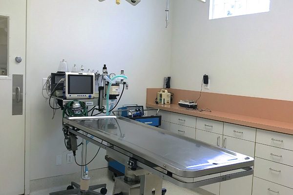 Our surgical suite allows us to perform a wide variety of soft tissue and orthopedic procedures in-house.