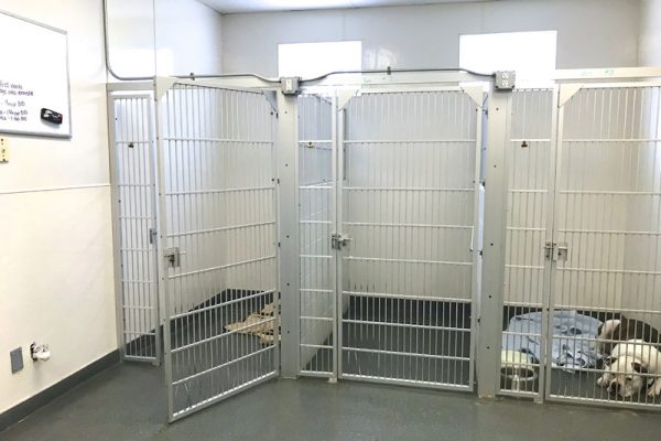 If your pet is medically stable, s/he can relax in our cool, quiet rear kennels.