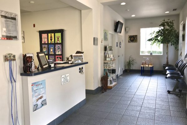 We offer a large, airy front lobby for you and your pet's comfort.